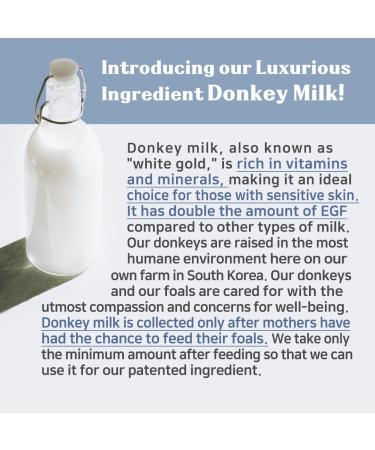 Panthenol Cream with Donkey Milk | 120 ml | Non-Sticky Hypoallergenic Moisturizer | Deep Hydration & Anti-Itch | Korean Skincare for Sensitive Skin - Buy Online on GoSupps.com