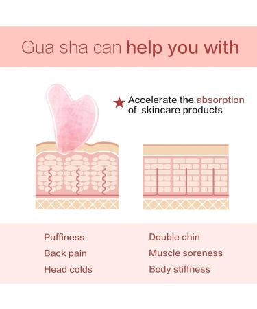 Shop Gua Sha Facial Tools - Rose Quartz & Pink Gua Sha Stones for Puffy Eyes & Jawline Sculpting | International Shipping Available - Buy Online on GoSupps.com