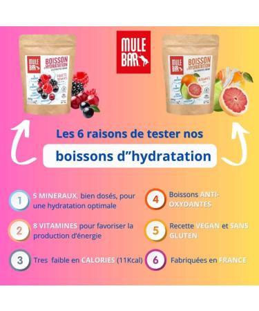 MULEBAR - Powdered Hydration Drink - Red Fruits - Anti-Fatigue - Antioxidant - 8 Vitamins - 5 Minerals - Electrolytes - Very Low Sugar Taste - Easy to Digest - Made in France - 250gr - Buy Online on GoSupps.com