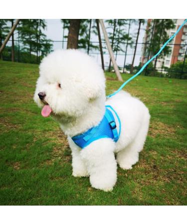 Buy Femax Dog Harness & Linen Set - Soft Mesh Reflective Adjustable & Breathable for Dogs Puppies and Cats | Ideal for Walking Running & Training (Breast 30-34 cm) - Azure - Buy Online on GoSupps.com