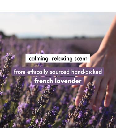 Love Beauty & Planet Argan Oil & Lavender Conditioner - Natural Sulfate & Paraben-Free for Dry & Frizzy Hair - 400ml - Buy Online on GoSupps.com