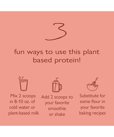 Tone It Up Organic Pea Protein Powder for Women - 15g Protein - Sugar Free, Gluten Free, Dairy Free, Kosher - 1.54lb Chocolate - Buy Online on GoSupps.com