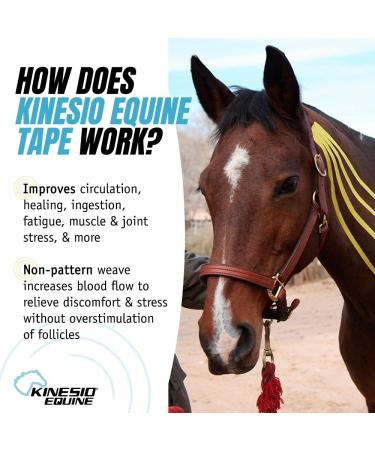 Buy Kinesio Equine Tape - Tex Gold FP Horse Tape 2"x16' Green - Ideal for Horse Support & Injury Prevention - Buy Online on GoSupps.com