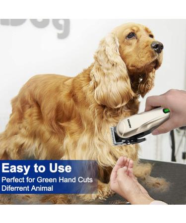 AIBORS Professional Dog Clippers for Thick Coats - Rechargeable & Low Noise Grooming Kit for Pets - Ideal for Small to Large Dogs, Cats - Gold - Buy Online on GoSupps.com