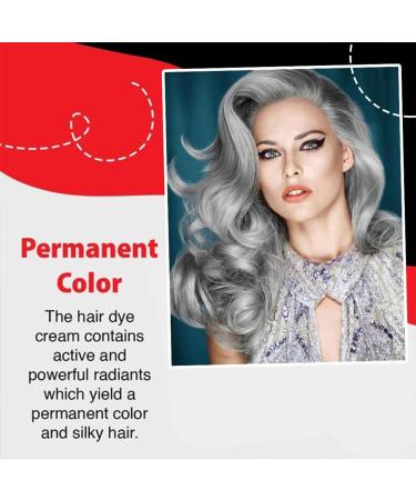  Zankie 1/3 Silver Grey Hair Colour with Gentle Natural Formula - 3.52 oz - Unisex Hair Products - Instant and Long Lasting Hair Colour - Buy Online on GoSupps.com