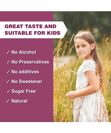 Lovita Echinacea Extract Liquid | 1 FL OZ | 350 mg per Serving | Concentrated Herb Tincture | Vegan | Alcohol-Free | with Elderberry and Licorice Extract 1.06 Fl Oz (Pack of 1) New Package - Buy Online on GoSupps.com