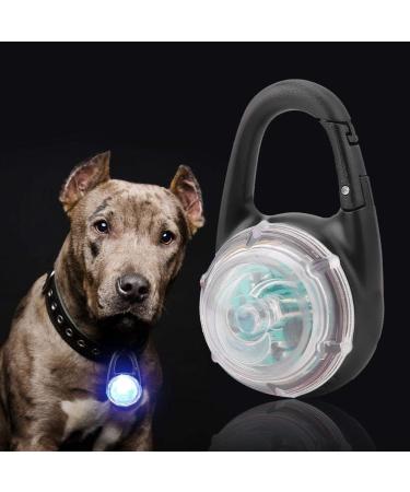 Buy Colorful LED Dog Light Pendant | Safety Warning Light for Camping & Hiking - Buy Online on GoSupps.com