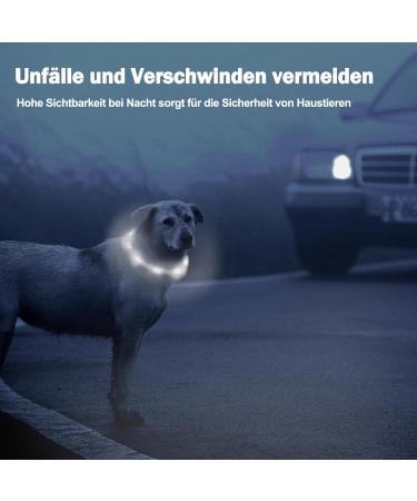 Nepfaivy Luminous Elbe Hund USB Charging Waterproof LED Dog Collar - Adjustable Length 3 Lighting Modes for Safety White Silicone | International Shipping - Buy Online on GoSupps.com