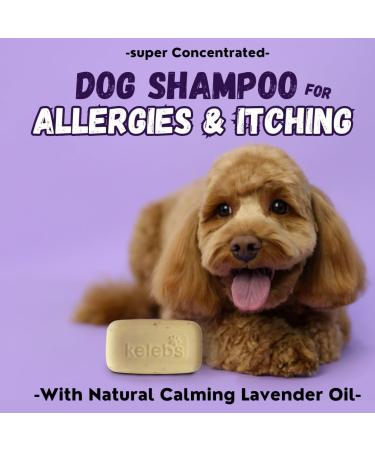Kelebs Sensitive Skin Dog Shampoo 3PCS Set - Puppy, Itchy, Smelly Dogs - Natural Soap Bar with Lavender Oil & Oatmeal - Zero Plastic Waste - Vegan Formula - Buy Online on GoSupps.com