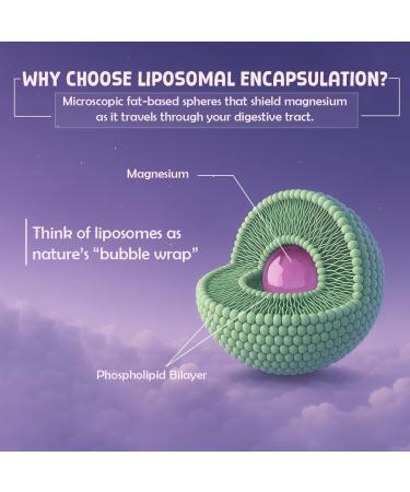 Triple Liposomal Magnesium 3-in-1 Formula with Glycinate & Oxide | Enhanced Absorption | Supports Sleep Stress & Mood | Muscle Bone & Nerve Health | 60 Capsules 60 Count (Pack of 1) - Buy Online on GoSupps.com