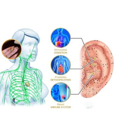 Lymphatic Activity Hoop Earrings Lymphatic Drainage Earrings for Weight Loss Lymphvity Magnetic Therapy Earrings Women's Magnetic Germanium Earrings Silver - Buy Online on GoSupps.com