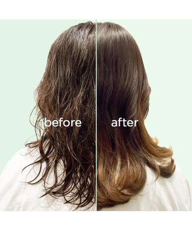 LEAVE-IN HAIR MASK - Korean Gloss Treatment for Frizzy & Dry Hair | Hydrating Biotin Repair Mask (BERRY MUCH - Buy Online on GoSupps.com