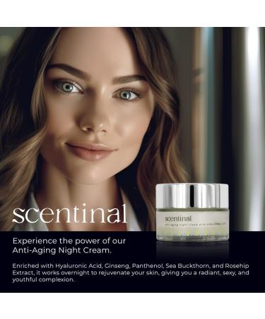 Scentinal Anti-Aging Night Cream with Hyaluronic Acid - Overnight Rejuvenation for Radiant Skin - 50ml/1.7oz | International Shipping Available - Buy Online on GoSupps.com