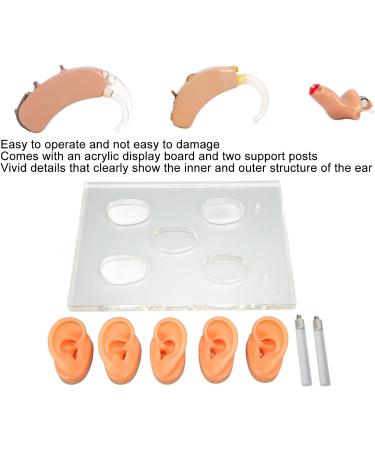 5Pcs Waterproof Soft Ear Model Displays for ENT Hospitals - Complete Tools Included - Buy Online on GoSupps.com