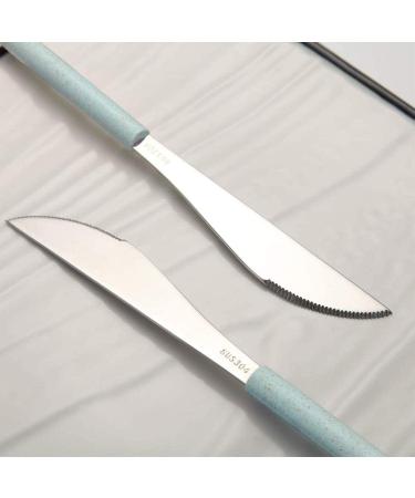 Portable Travel Utensils Set - Reusable Stainless Steel Cutlery with Case for Lunch Box, Travel, and Camping (Green+Blue) - Buy Online on GoSupps.com