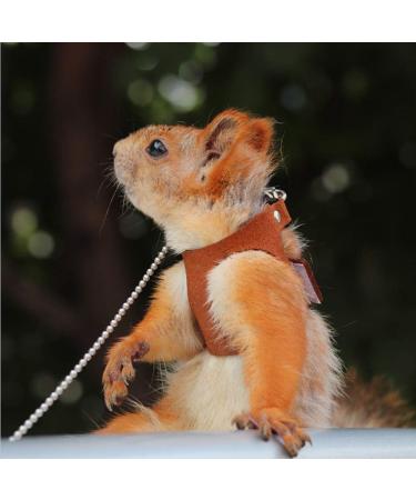 Adnikia Adjustable Squirrel Traction Rope Strap - Anti-Bite Chain Leash for Small Animals | Perfect for Hamsters Mice Rats & Ferrets - Yellow - Buy Online on GoSupps.com