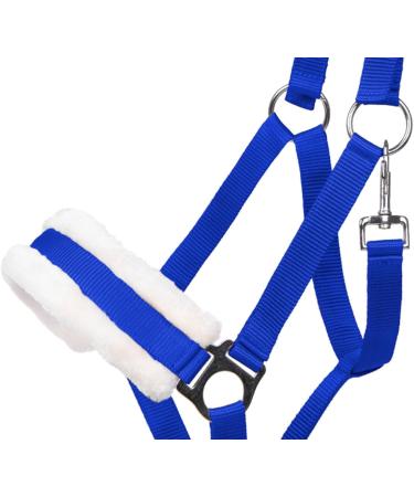 Buy Netproshop Solid Horse Halter - Padded & Adjustable Size | Mini Shetty to Full U Cold Blood | Cobalt Blue - Buy Online on GoSupps.com
