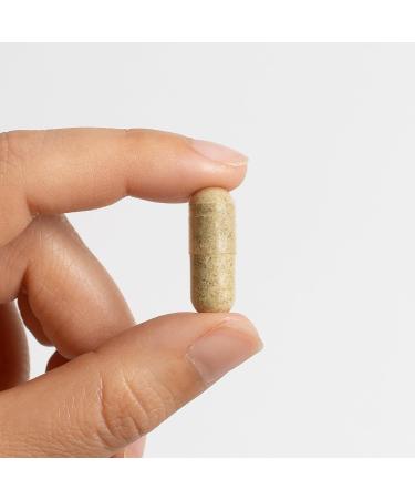 Food Over Drugs Lung Formula Herbal Detox with Organic Mullein Thyme Licorice & Astragalus Natural Supplement for Lung Support Breathing Clarity & Mucus Balance Plant-Based Capsules - Buy Online on GoSupps.com