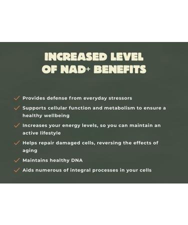 Youth & Earth NR Delayed Release Capsules 300mg - NAD+ Booster for Anti-Aging (30 Capsules) - Buy Online on GoSupps.com