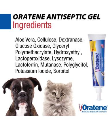 ZYMOX Oratene Brushless Oral Gel for Dogs and Cats - 1oz by Pet King Brands - Buy Online on GoSupps.com