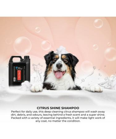 GROOM PROFESSIONAL Citrus Shine Dog Shampoo 4L - Deep Cleansing & Deodorizing Formula with Peach Oil for Greasy Coats - Fresh Citrus Scent - Ideal for Smelly Dogs - Buy Online on GoSupps.com