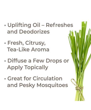 Buy Plant Therapy Lemongrass Organic Essential Oil 100% Pure - USDA Certified Undiluted Aromatherapy - 100 mL (3.3 oz - Buy Online on GoSupps.com