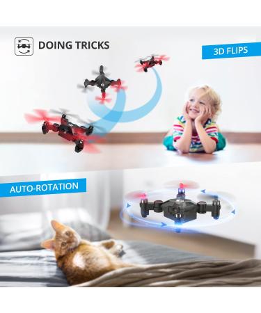 Holy Stone HS190 Foldable Mini Nano RC Drone for Kids - Portable Pocket Quadcopter with Altitude Hold, 3D Flips, Headless Mode - Easy to Fly for Beginners - Black - Buy Online on GoSupps.com