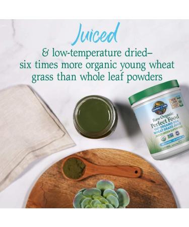 Garden of Life Raw Organic Perfect Food Wheat Grass Juice - Green Superfood Powder 60 Servings, 8.46oz - Non-GMO, Vegan, Gluten & Stevia Free - Buy Online on GoSupps.com