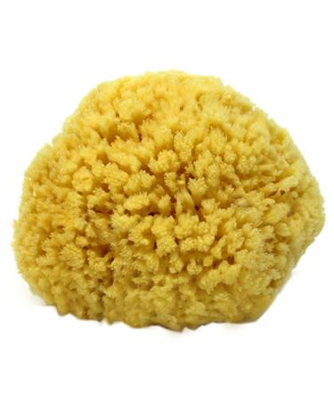 Natural Sea Sponge Small 4-5 by Spa Destinations Creating The Perfect Bath and Shower Experience Amazing Natural Renewable Resource!
