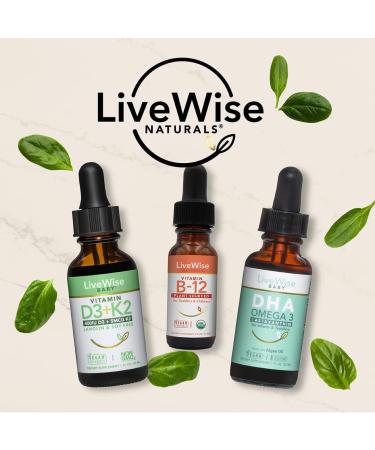 Baby Vitamin DHA Omega 3 Liquid Drops with Astaxanthin - Vegan Friendly Supplement for Healthy Brain, Eyes & Immune System - Organic Orange Oil for Great Taste - Buy Online on GoSupps.com