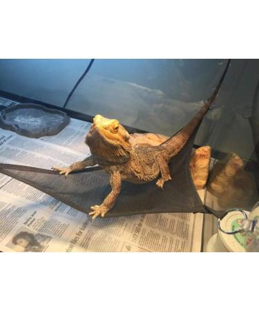 2 Pack of Reptile Hammock Set Breathable Mesh Lizard Hammock Lounger & Ladder Accessories Set for Large & Small Bearded Dragons Anole Geckos Lizards or Snakes M (Pack of 2) - Buy Online on GoSupps.com