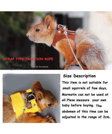 Buy Squirrel Traction Rope Belt & Adjustable Vest - Anti-Bite Chain for Small Animals | Perfect for Hamsters Mice Rats Ferrets & Chinchillas - Buy Online on GoSupps.com