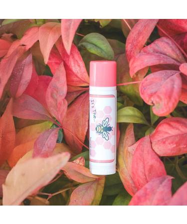 It's The Balm Diggity All-Natural Strawberry Lemonade Lip Balm 2-pk handcrafted using only 5 pure ingredients 0.15 ounces per tube - Buy Online on GoSupps.com
