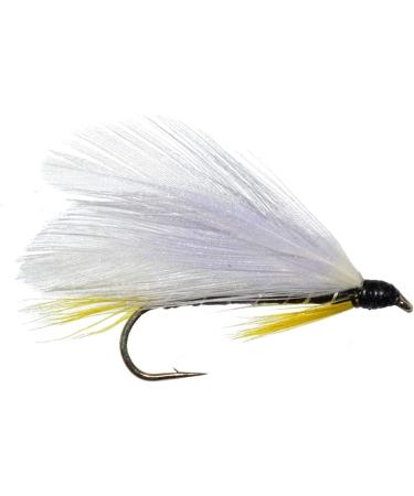 The Fly Fishing Place Classic Streamers Collection - 12 Trout Wet Fly Streamers, Size 4 - Buy Online on GoSupps.com