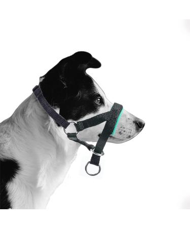 Adjustable Green Dog Halter - Padded Fabric No Pull Collar for Medium Dogs - Buy Online on GoSupps.com