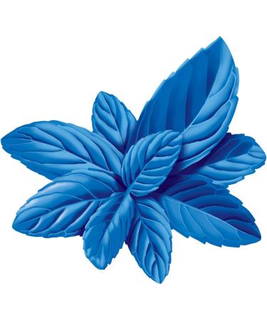 Freedent 5 Cases of 10 Sugar-Free Chewing Gums White Mint Forte - Buy Online on GoSupps.com