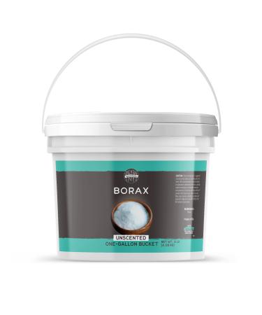 BIRCH & MEADOW Borax 1 Gallon Bucket Unscented Cleaning Laundry Additive 144 Ounce (Pack of 1)
