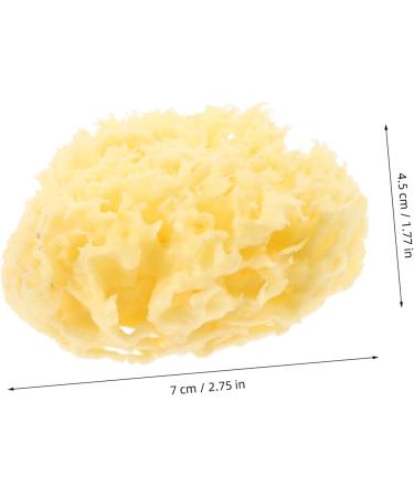 Healeved Moisturizer Body Sea for Bathing Natural Bath Sponge Shower Sponge for Body Bath for Bathing Natural for Body Sponge Shower Sponge Bath - Buy Online on GoSupps.com