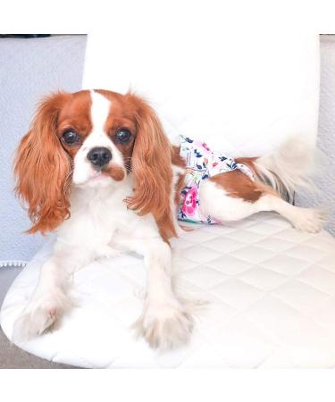 CuteBone Reusable Dog Diapers Female 3 Pack - Washable Puppy Pants for Heat Period - Floral Design - Set of 3 - Buy Online on GoSupps.com