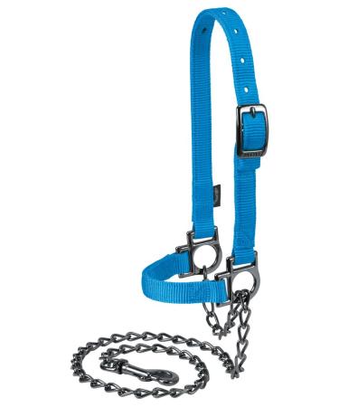 Weaver Leather Sheep Halter Blue