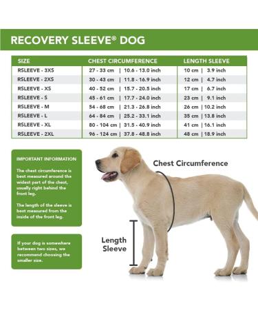 Buy Suitical Recovery Sleeve for Dogs - XXL Size Black | International Shipping Available - Buy Online on GoSupps.com