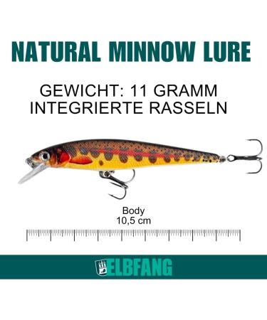 ELBFANG Zander Pike Wobbler Set - 4 Natural Color Shallow Running Lures for Predatory Fish - International Shipping Available - Buy Online on GoSupps.com