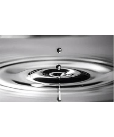 Dibossco Colloidal silver as pets 25 ppm colloidal silver Colloidal silver for animals To improve and care for the skin and wounds of our dogs and cats Each bottle contains 100 ml - Buy Online on GoSupps.com