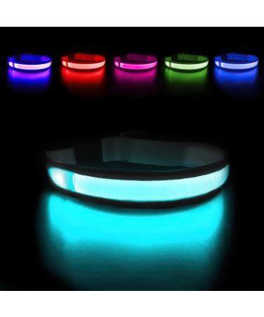 Masbrill luminous band dog charging dog collar luminous waterproof for small medium large dogs LED collar for dogs adjustable collar dog bright with 3 light modes black-s s (28-40cm/11-15.7inch) black (TC5200)