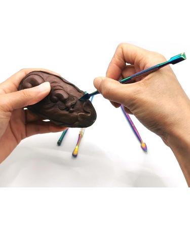 7pcs Wax Carving Tools Set with Metal Storage Case - Buy Online on GoSupps.com