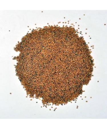 Taramira Beej-Arugula Seed-Raw Herbs-Taramira Seeds-Jadi Booti-Single Herbs (100 Gram) - Buy Online on GoSupps.com