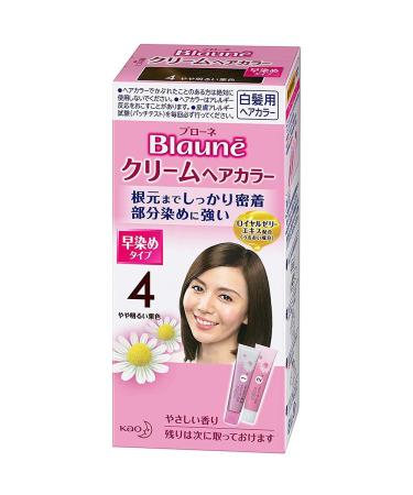 Kao Blaune Cream Hair Color - 4 Slightly Bright Maroon (Green Tea Set)