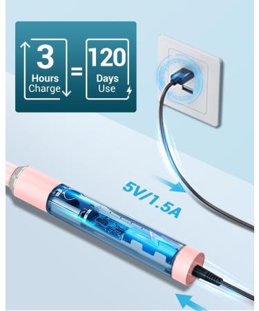 Sonic Electric Toothbrush for Adults and Kids - Rechargeable with 8 Brush Heads, 120 Days of Use, 3-Hour Fast Charge, 5 Modes, Timer - Pink - Buy Online on GoSupps.com