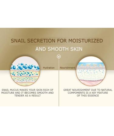 BIOAQUA Snail Mucus Repair Moisturizing Replenishing Cream Skin Glow Wonderful Vitality Impart 50g - Buy Online on GoSupps.com