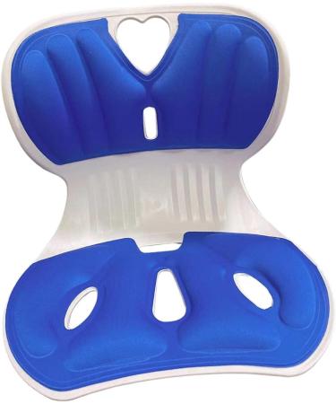 MERIGLARE Lumbar Support Pillow for Sitting Comfort Blue - Buy Online on GoSupps.com